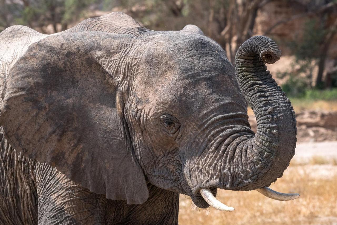 Вілла Wilderness Safaris Damaraland Camp Twyfelfontein Екстер'єр фото